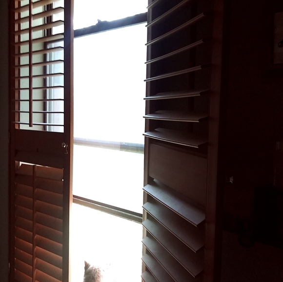 Shutters - Picture 2 of 2